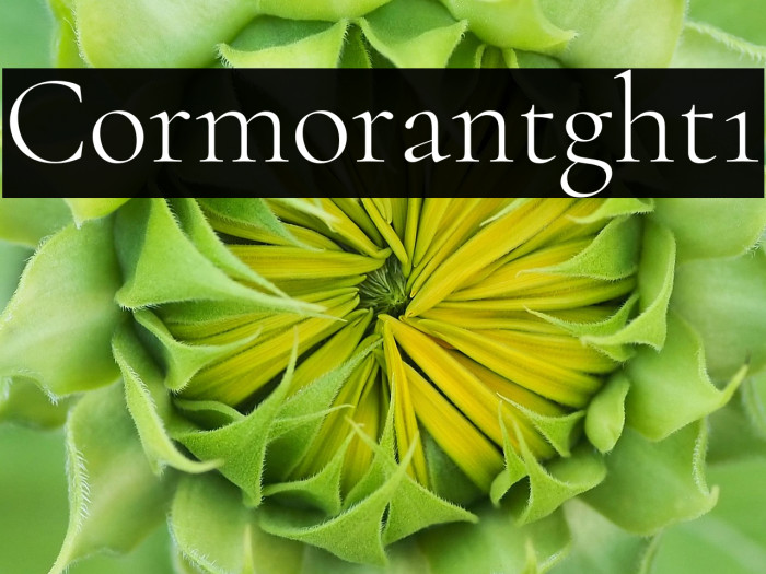 Cormorant Light1 Example 1