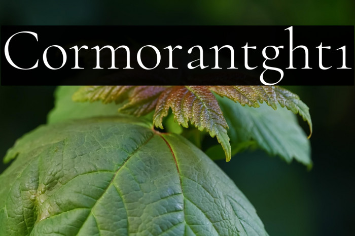 Cormorant Light1 Example 2