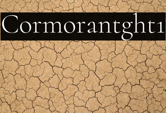 Cormorant Light1 Example 3