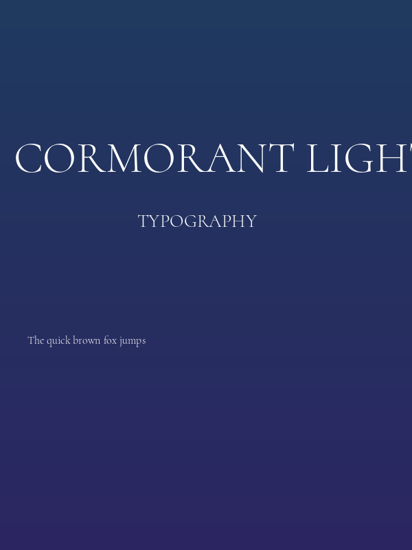 Cormorant Light1 Poster