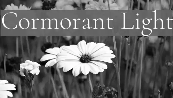 Cormorant Light Font examples