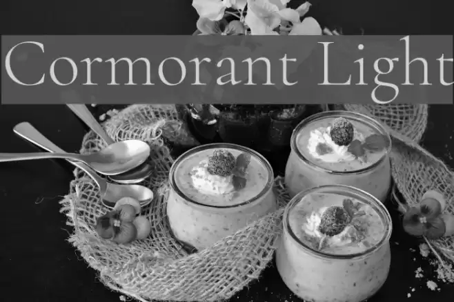 Cormorant Light Font examples