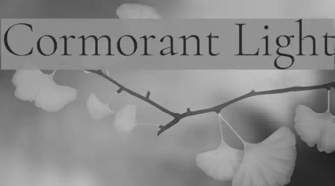 Cormorant Light Font examples