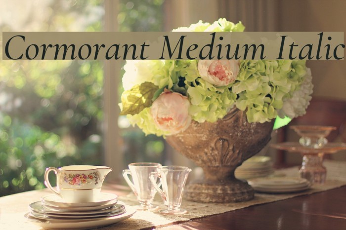 Cormorant Medium Italic Font examples