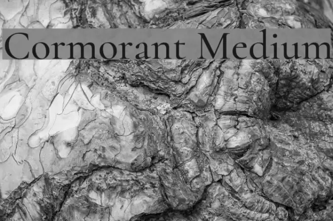 Cormorant Medium Font examples