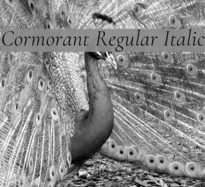 Cormorant Regular Italic Font examples