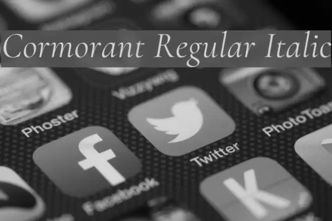 Cormorant Regular Italic Font examples
