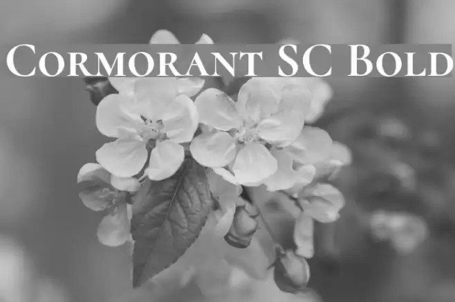 Cormorant SC Bold Font examples