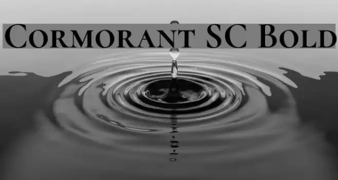 Cormorant SC Bold Font examples