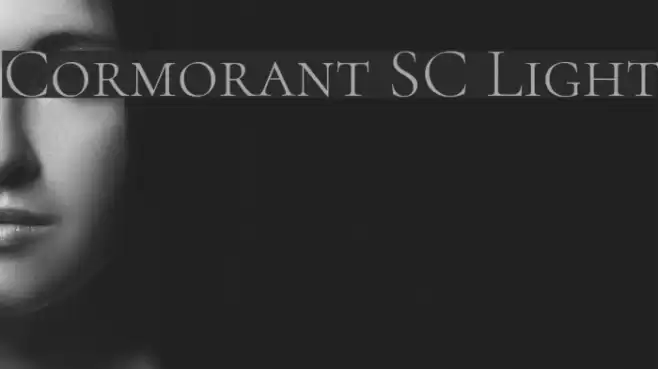 Cormorant SC Light Font examples