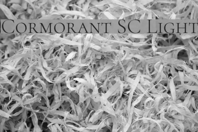 Cormorant SC Light Font examples