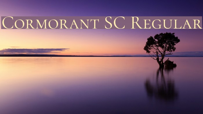 Cormorant SC Regular Font examples