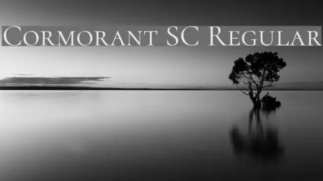 Cormorant SC Regular フォント examples