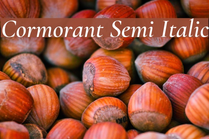 Cormorant Semi Italic Example 1