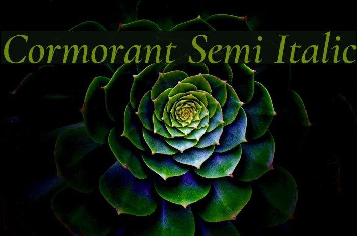Cormorant Semi Italic Example 3