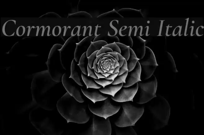 Cormorant Semi Italic Font examples