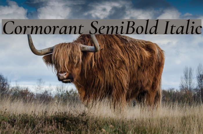 Cormorant SemiBold Italic Font examples