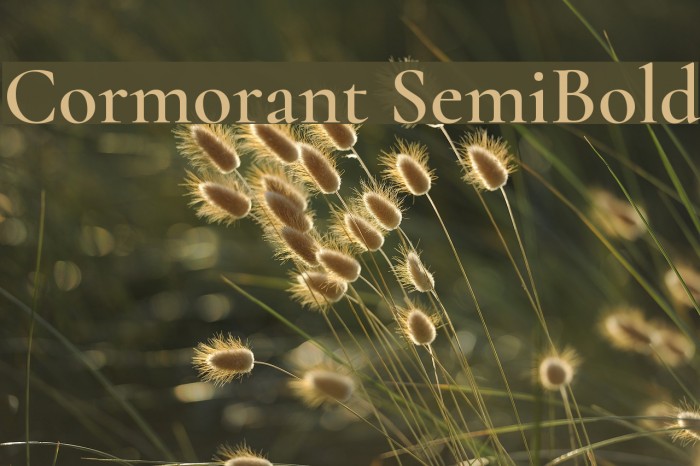 Cormorant SemiBold Example 1