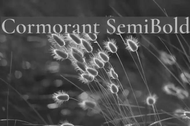 Cormorant SemiBold Font examples