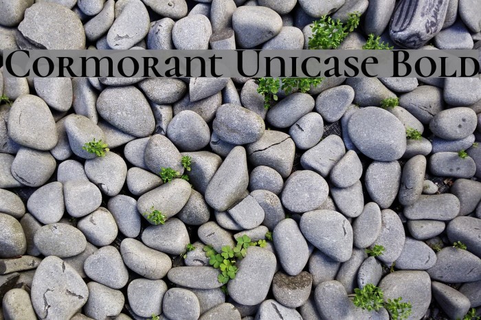 Cormorant Unicase Bold Font examples