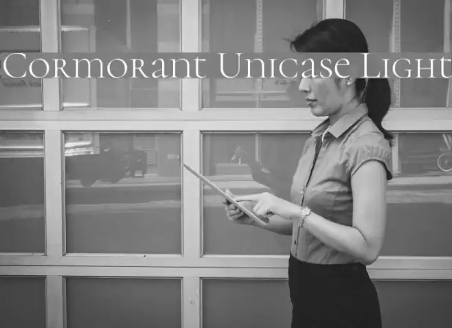 Cormorant Unicase Light Font examples