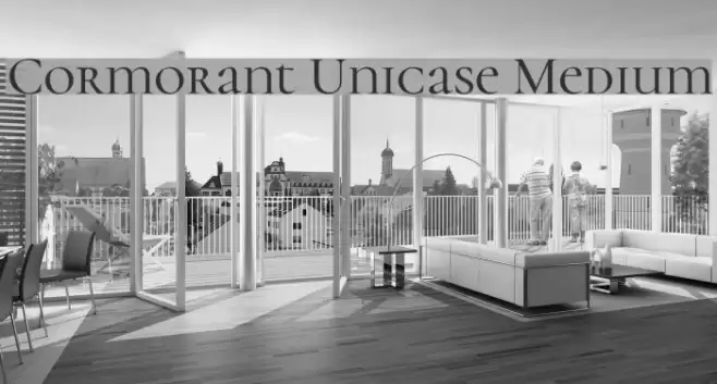 Cormorant Unicase Medium Font examples