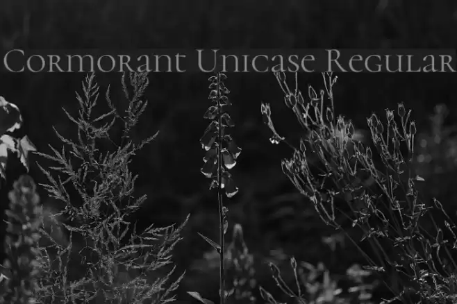 Cormorant Unicase Regular Font examples