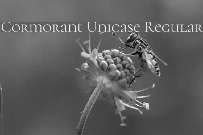 Cormorant Unicase Regular Font examples