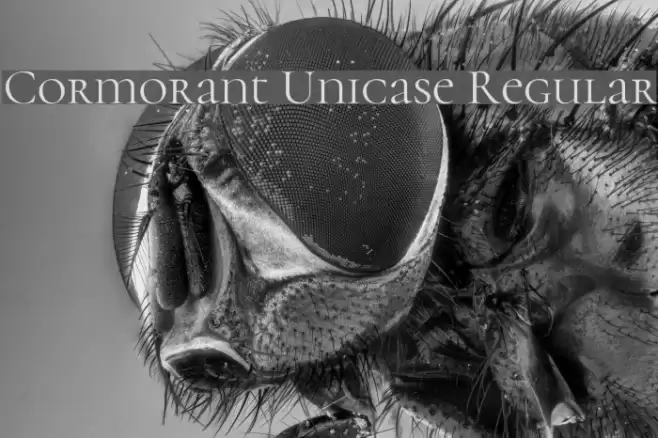 Cormorant Unicase Regular Font examples