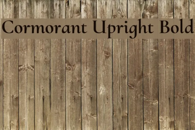 Cormorant Upright Bold Example 2