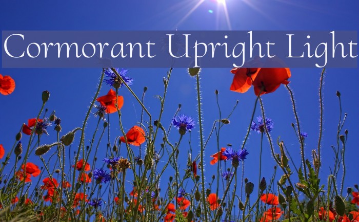 Cormorant Upright Light Font examples