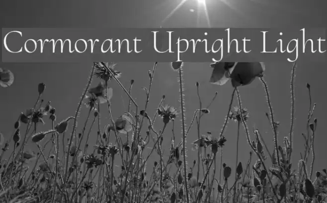 Cormorant Upright Light Font examples