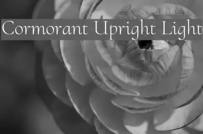 Cormorant Upright Light Font examples