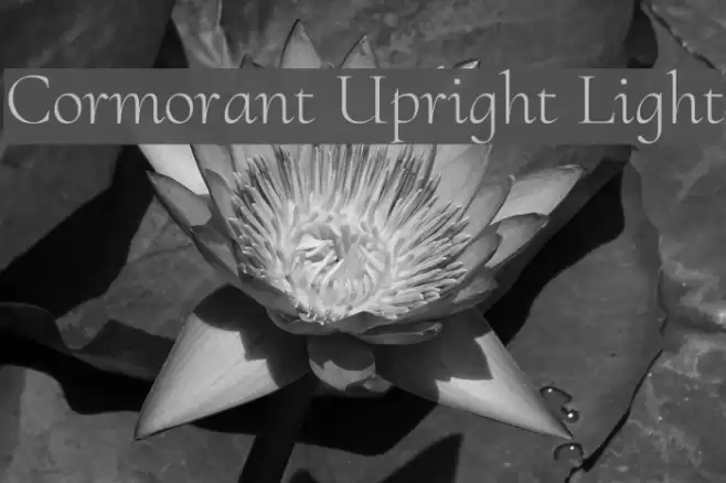 Cormorant Upright Light Font examples