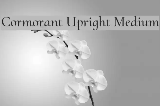Cormorant Upright Medium Schriftart examples
