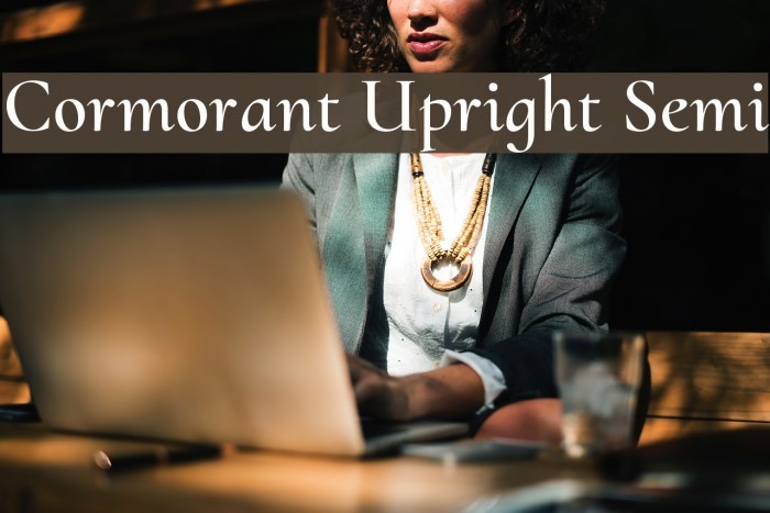 Cormorant Upright Semi Example 2