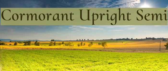 Cormorant Upright Semi Example 3