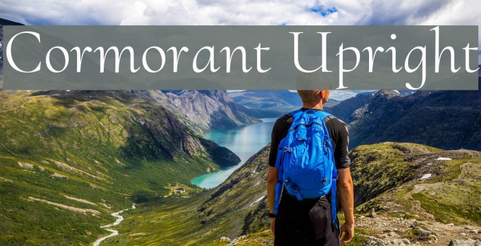 Cormorant Upright Font examples