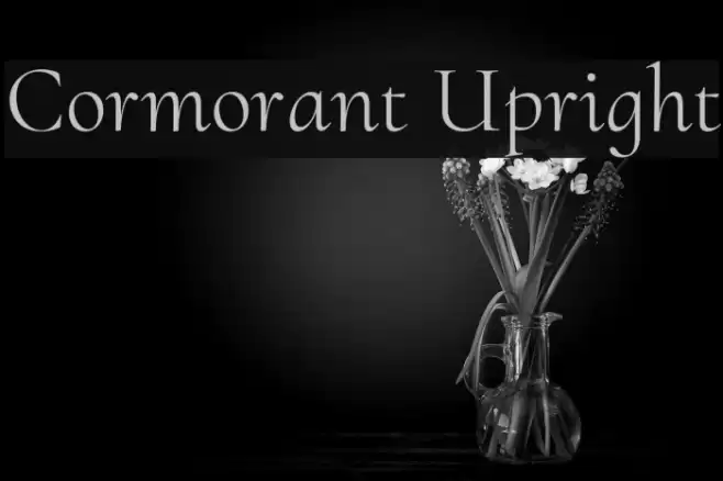 Cormorant Upright Font examples