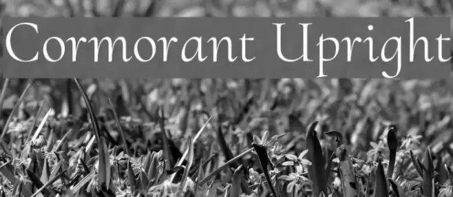 Cormorant Upright Font examples