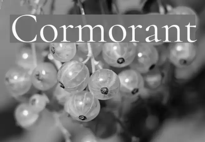Cormorant Font examples