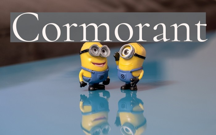 Cormorant Font examples