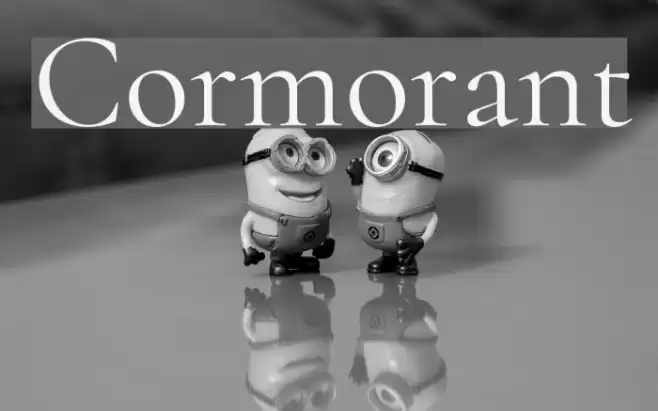 Cormorant Font examples