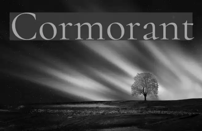 Cormorant Font examples