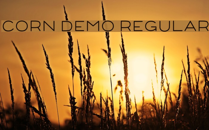 Corn Demo Regular Schriftart examples