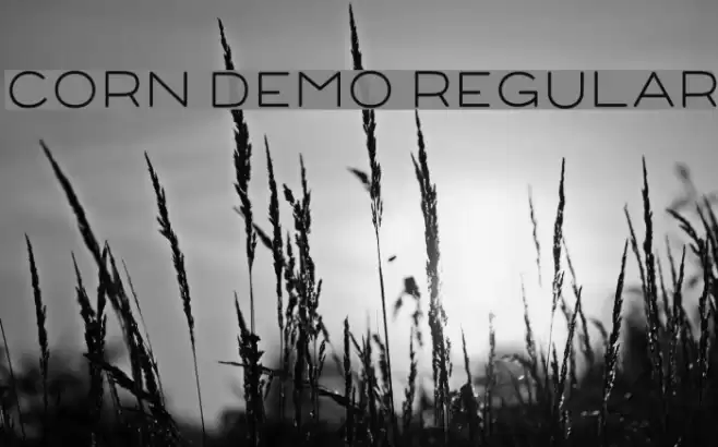 Corn Demo Regular Schriftart examples