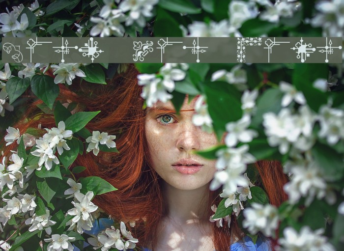 Corn Pop Four Example 2