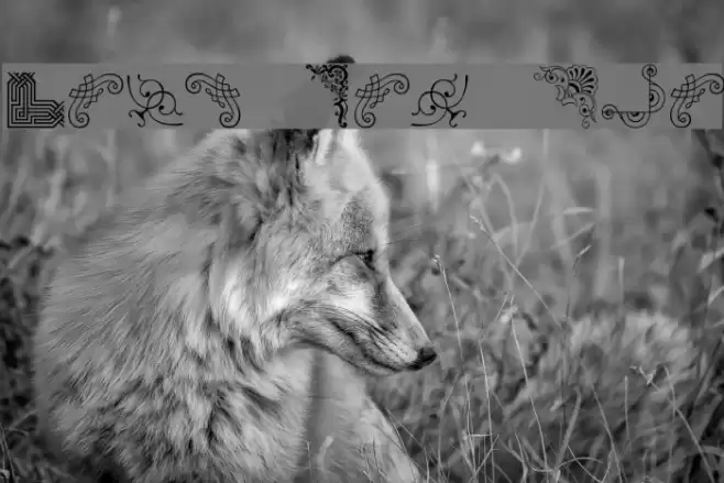 Corn Pop Two Font examples