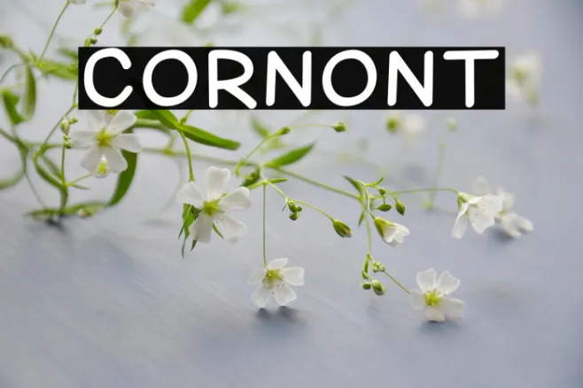 Corn Example 1