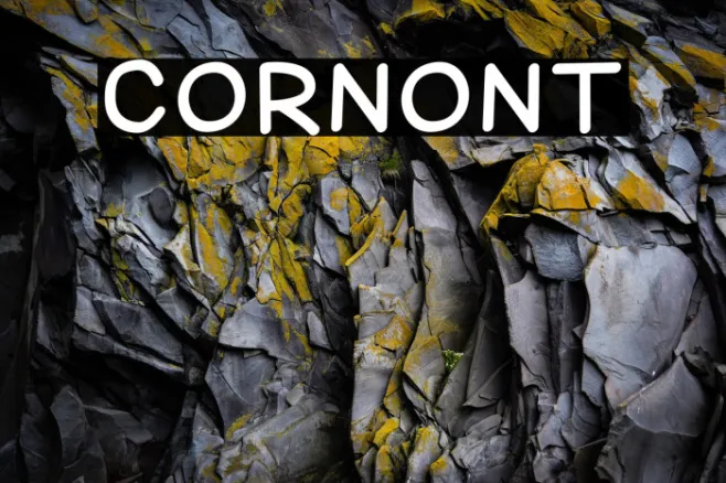 Corn Example 2